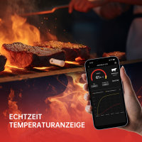 ARMEATOR A1 Smart Wireless Meat Thermometer