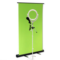 Streamer Set enth&auml;lt Green Screen 110x200cm, Mikrofon mit Halter, Selfie Lampe
