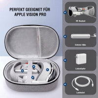 Case für Apple Vision Pro, grau
