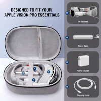 Case für Apple Vision Pro, grau