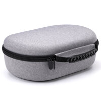 Case für Apple Vision Pro, grau