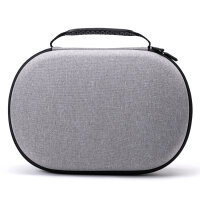 Case für Apple Vision Pro, grau