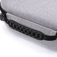 Case für Apple Vision Pro, grau