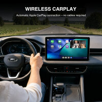 Wireless CarPlay Camera Adapter Panda, black